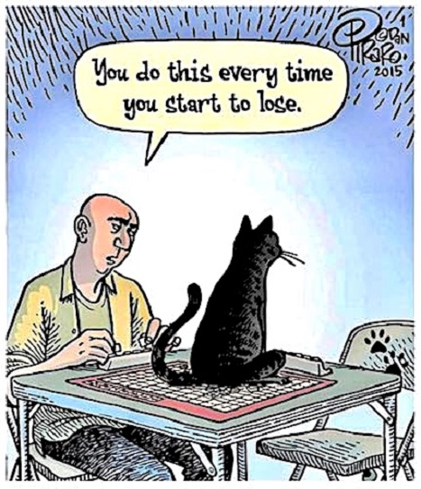 cat scrabble.jpg